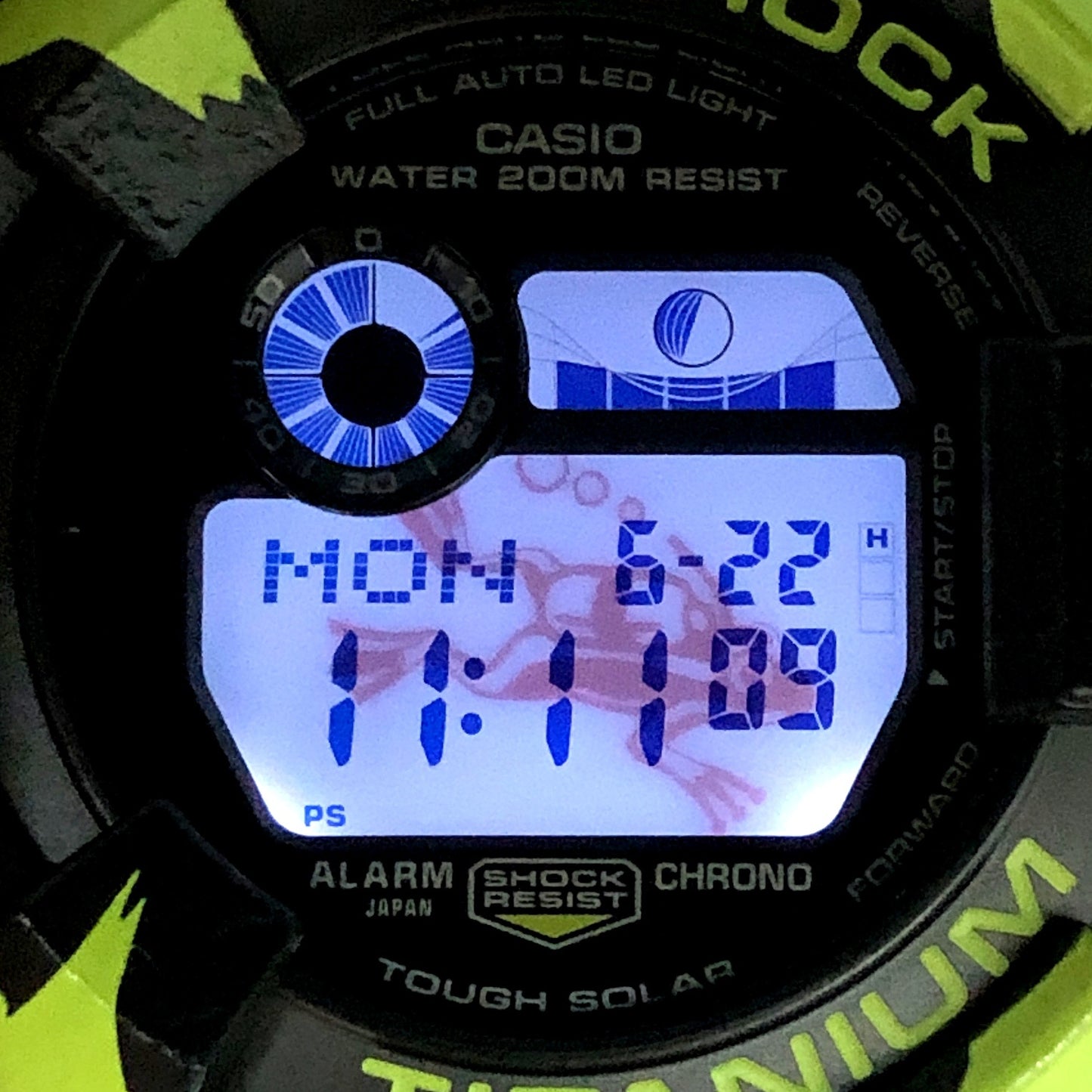 GW-8200TPF-1 フロッグマン 毒蛙 ミスジヤドクガエル