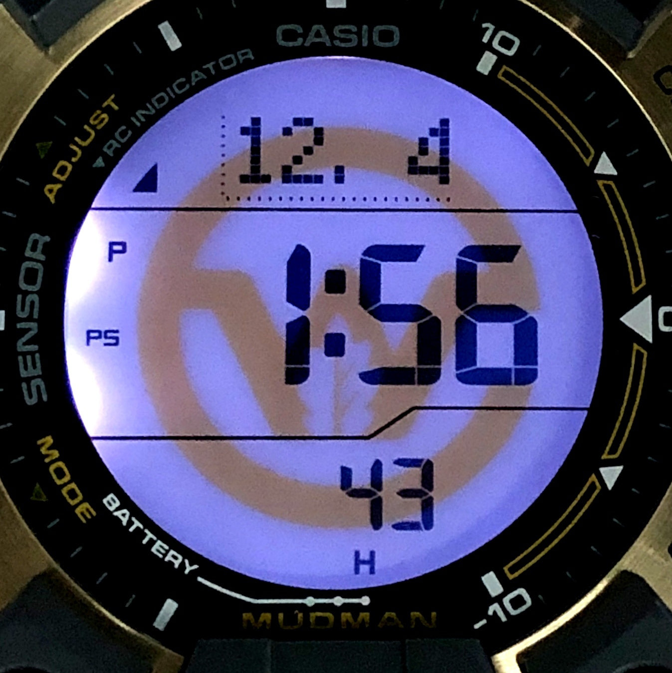 GW-9501KJ-8 アースウォッチ2014 シマフクロウ