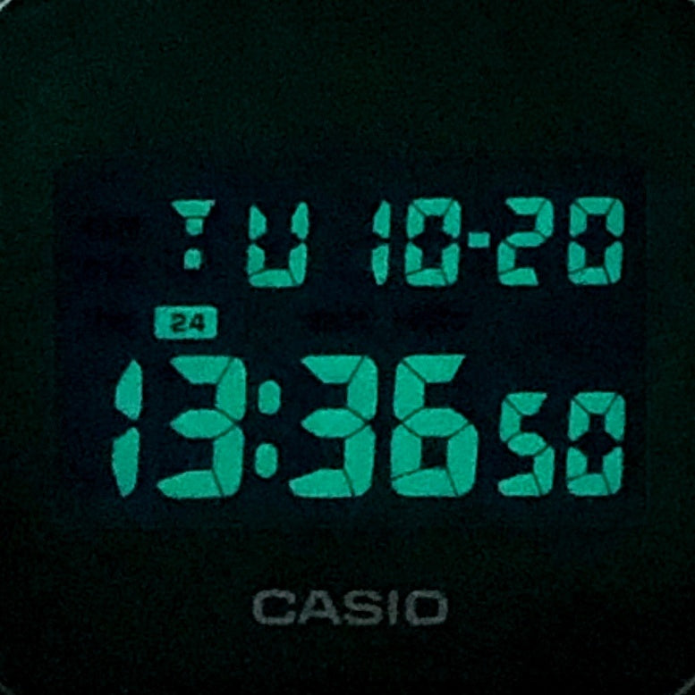 DW-5600SB-3 カラースケルトンシリーズ