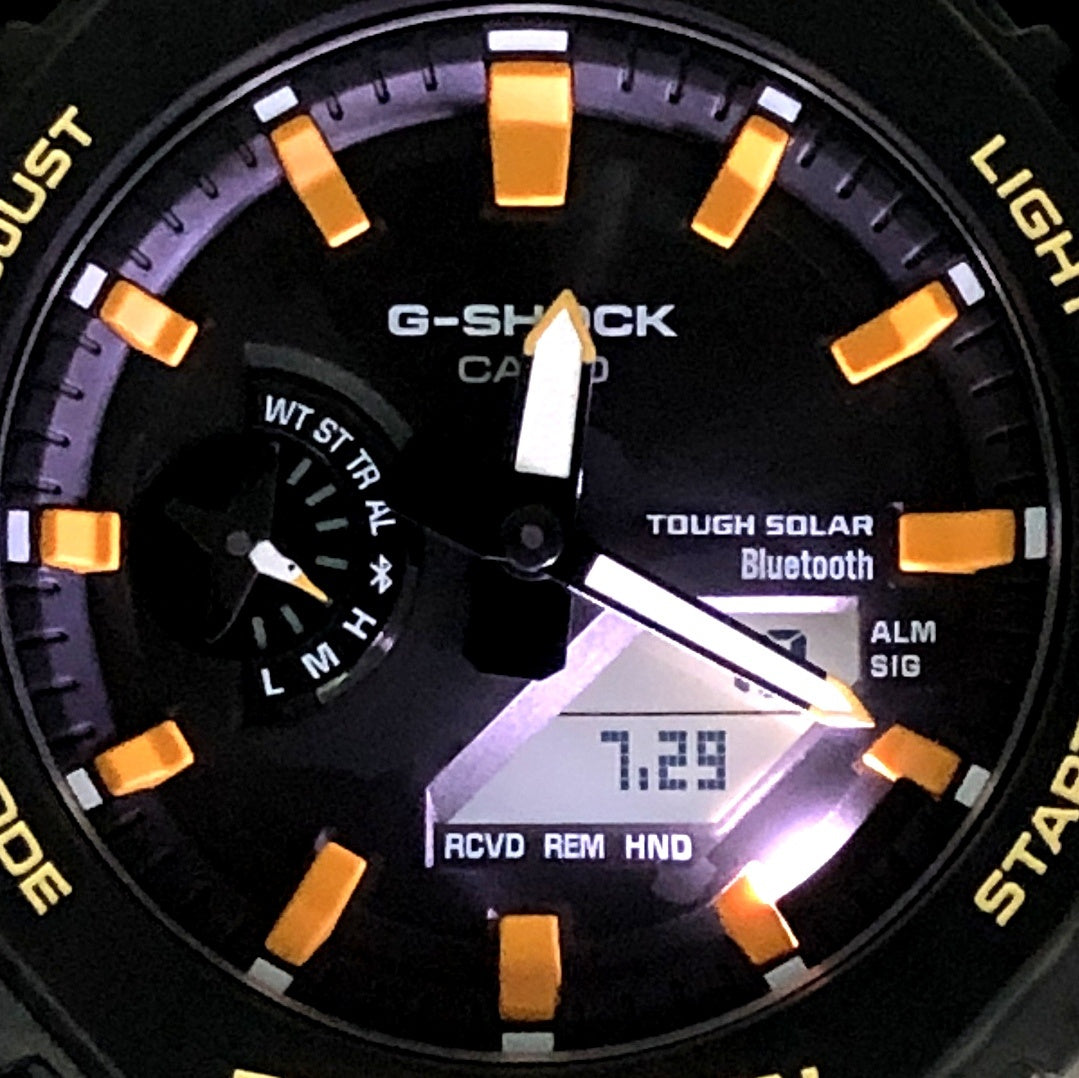 GA-B2100DF-1A チャールズ・ダーウィン ガラパゴスアホウドリ