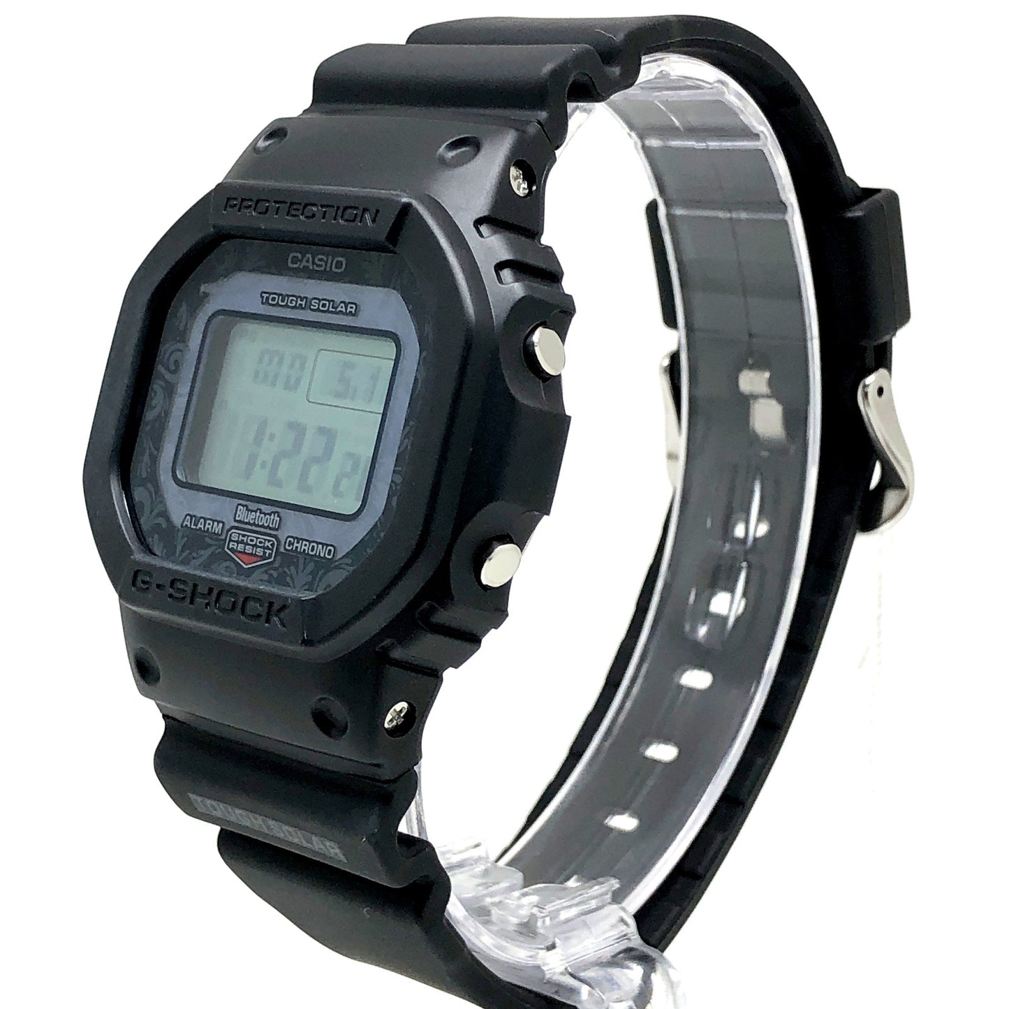 GW-B5600CD-1A2 チャールズ・ダーウィン ダーウィンフィンチ
