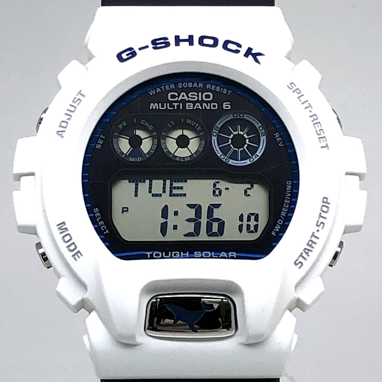 GW-6905K-7A イルクジ2025 ザトウクジラ