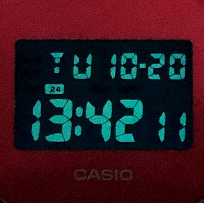 DW-5600SB-4 カラースケルトンシリーズ