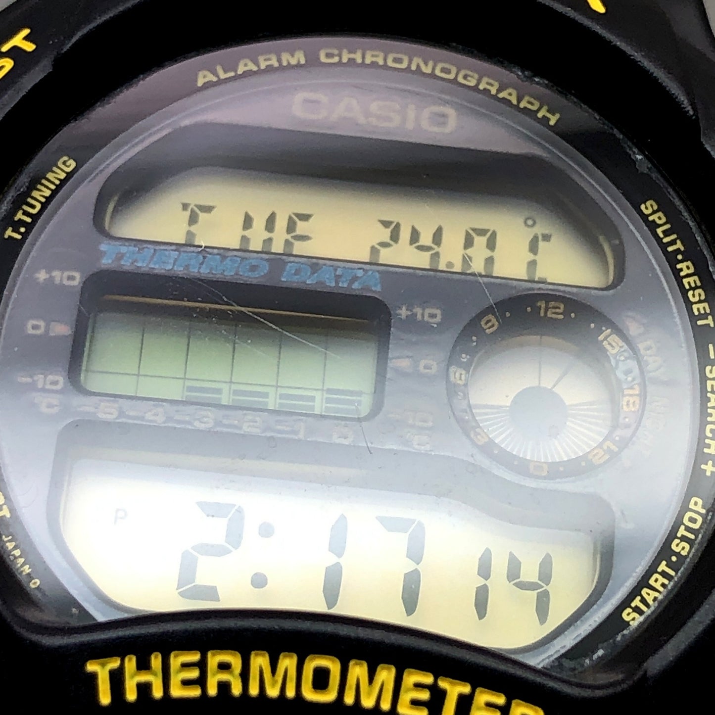 DW-6100DW-9 イルクジ1994 初代イルカクジラモデル
