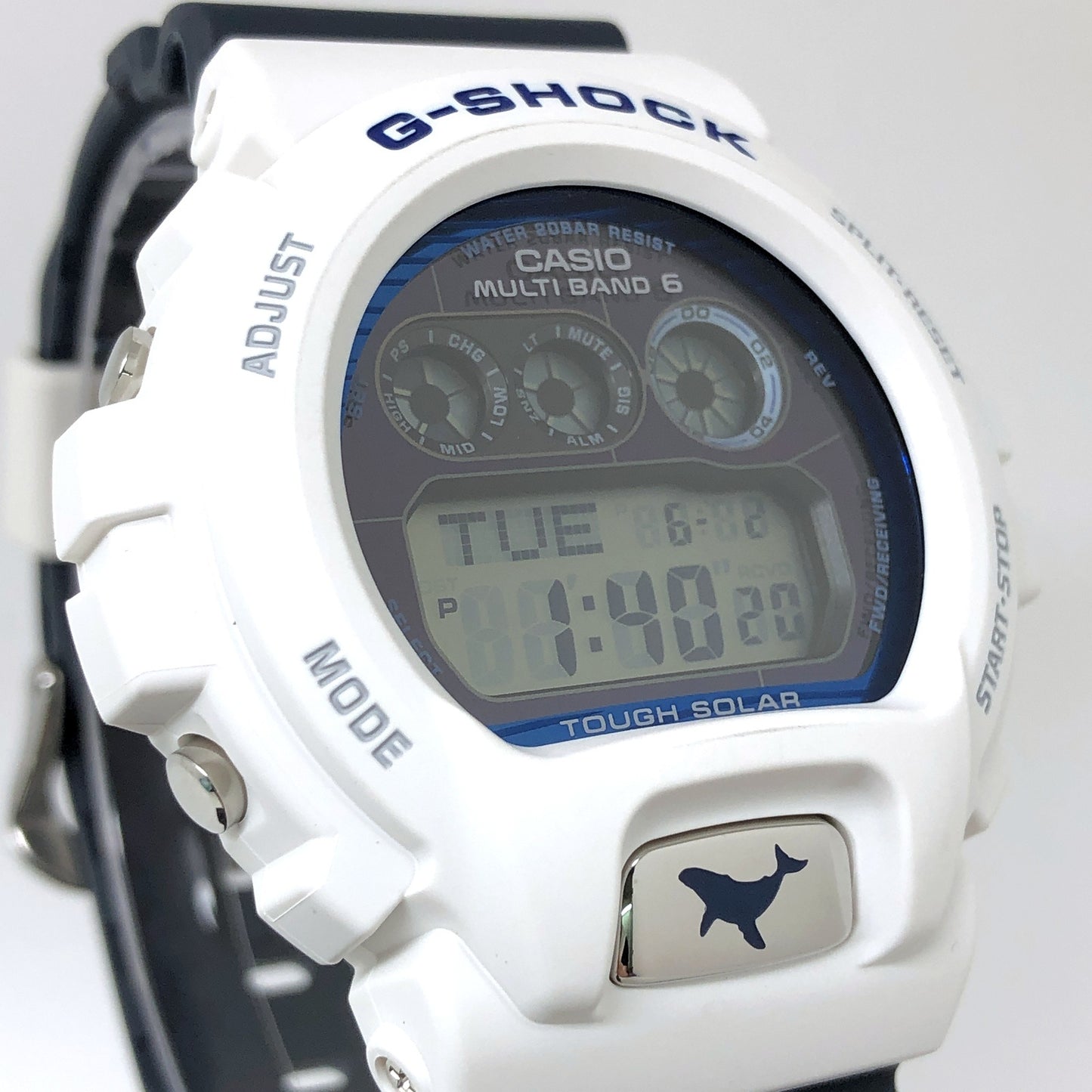 GW-6905K-7A イルクジ2025 ザトウクジラ