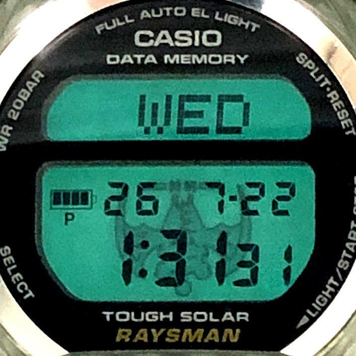 DW-9300MS-8T レイズマン メンインスモーク