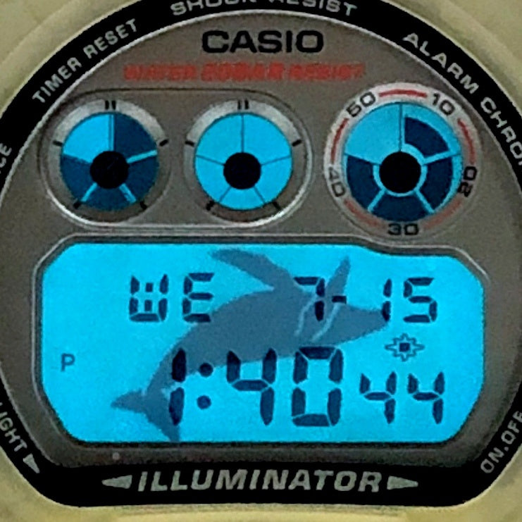 DW-6900K-8CT イルクジ1996 ザ・サン