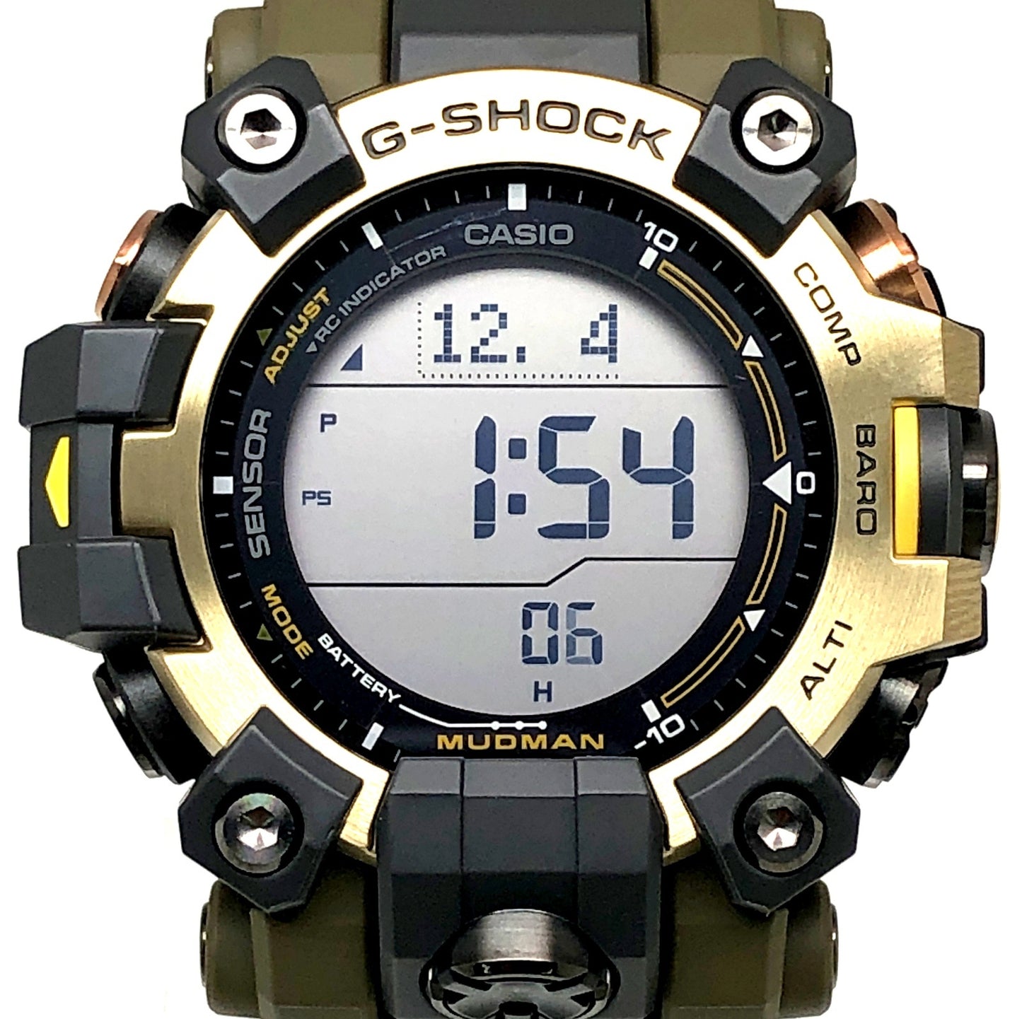 GW-9501KJ-8 アースウォッチ2014 シマフクロウ