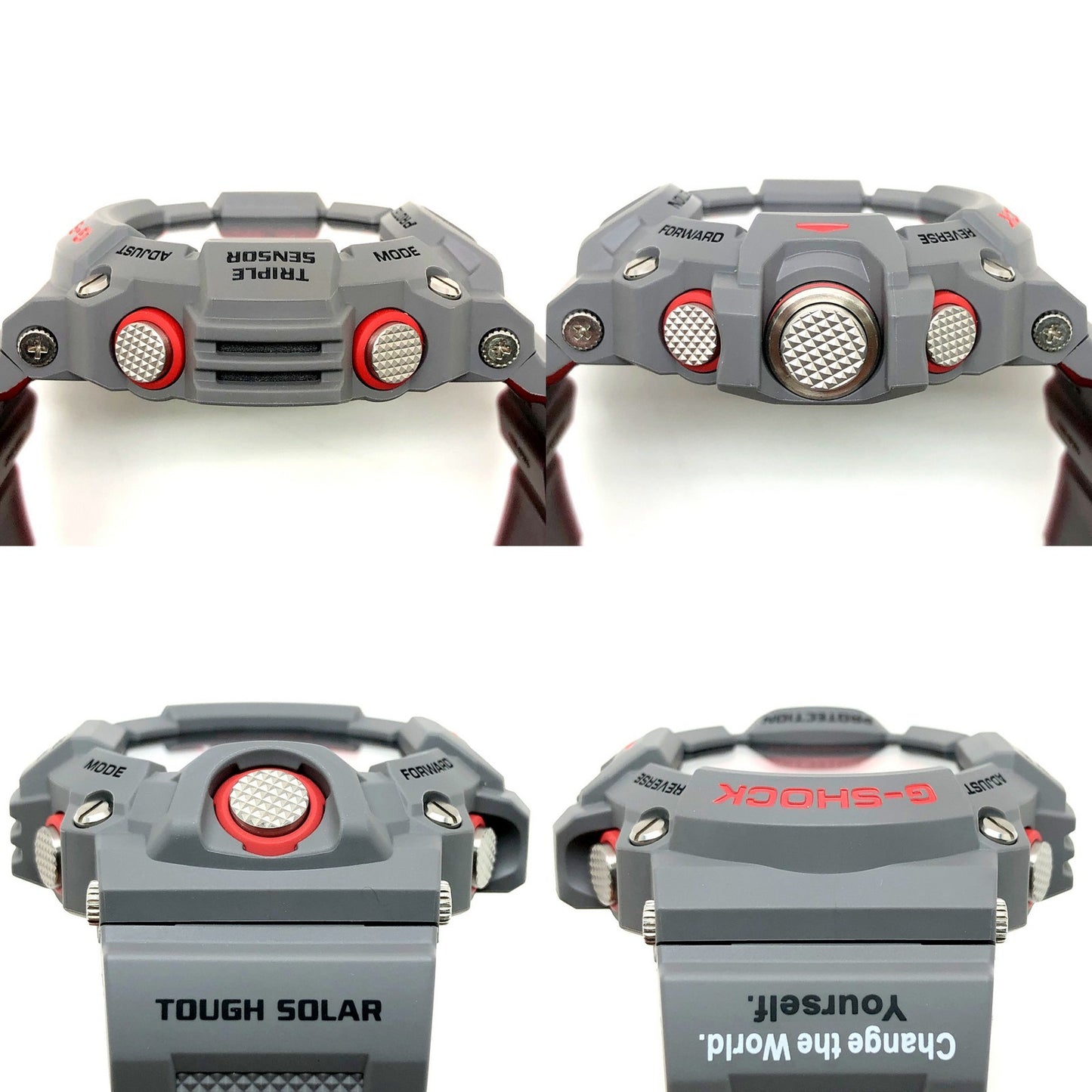 GW-9400KJ-8 アースウォッチ2014 アジアアロワナ