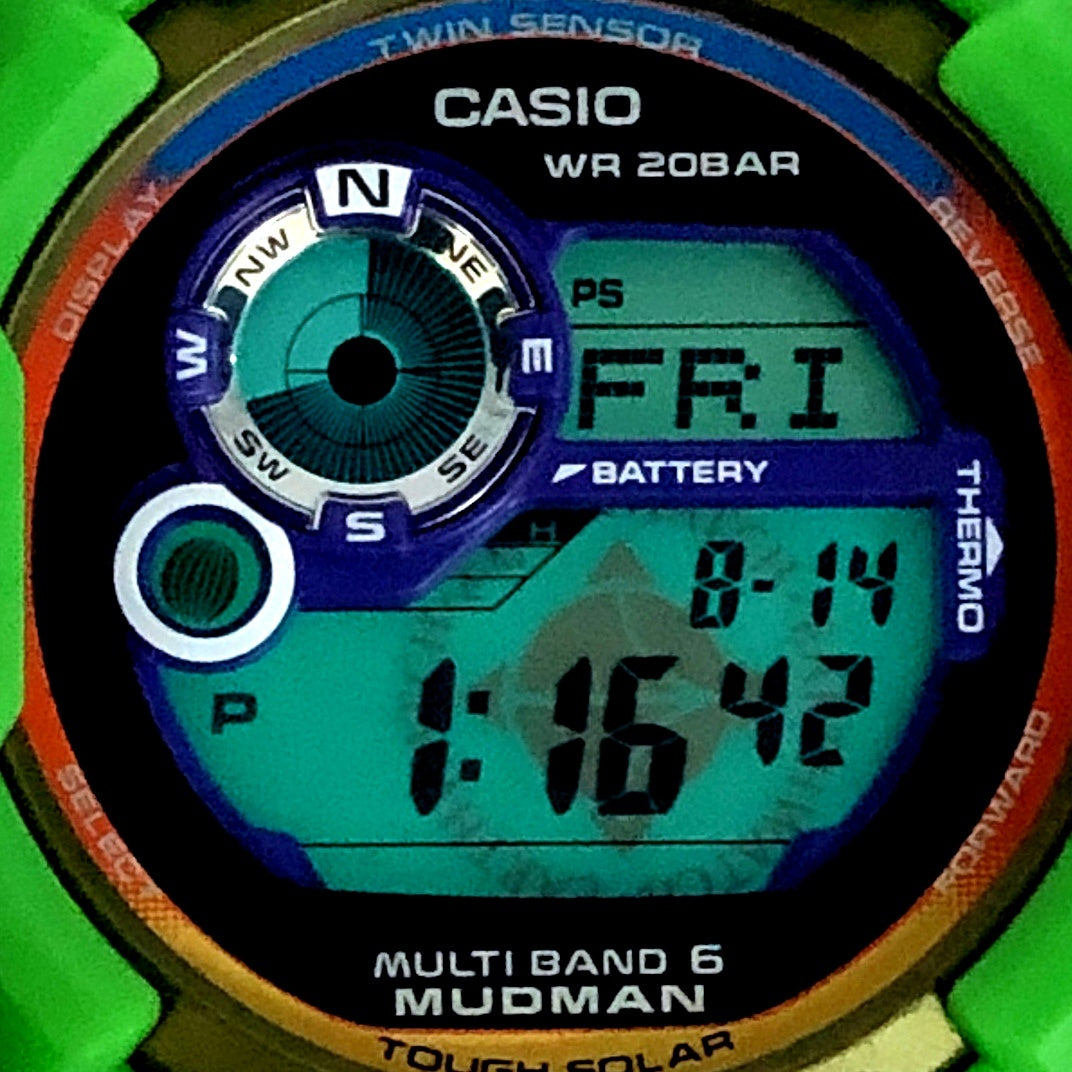 GW-9300K-3 アースウォッチ2012 インコ