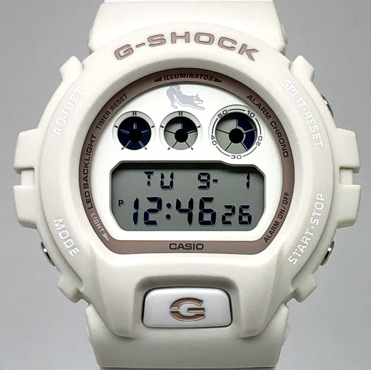 DW-6900SHB-7 SHIRO-SHIBA 白柴