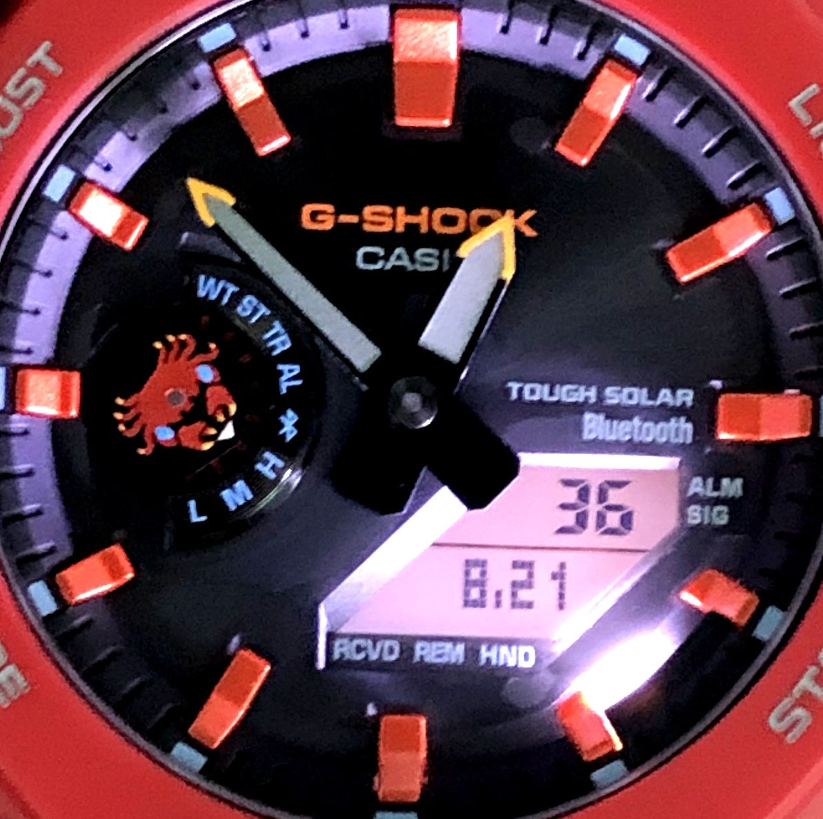 GA-B2100DF-4A チャールズ・ダーウィン ガラパゴスベニイワガニ