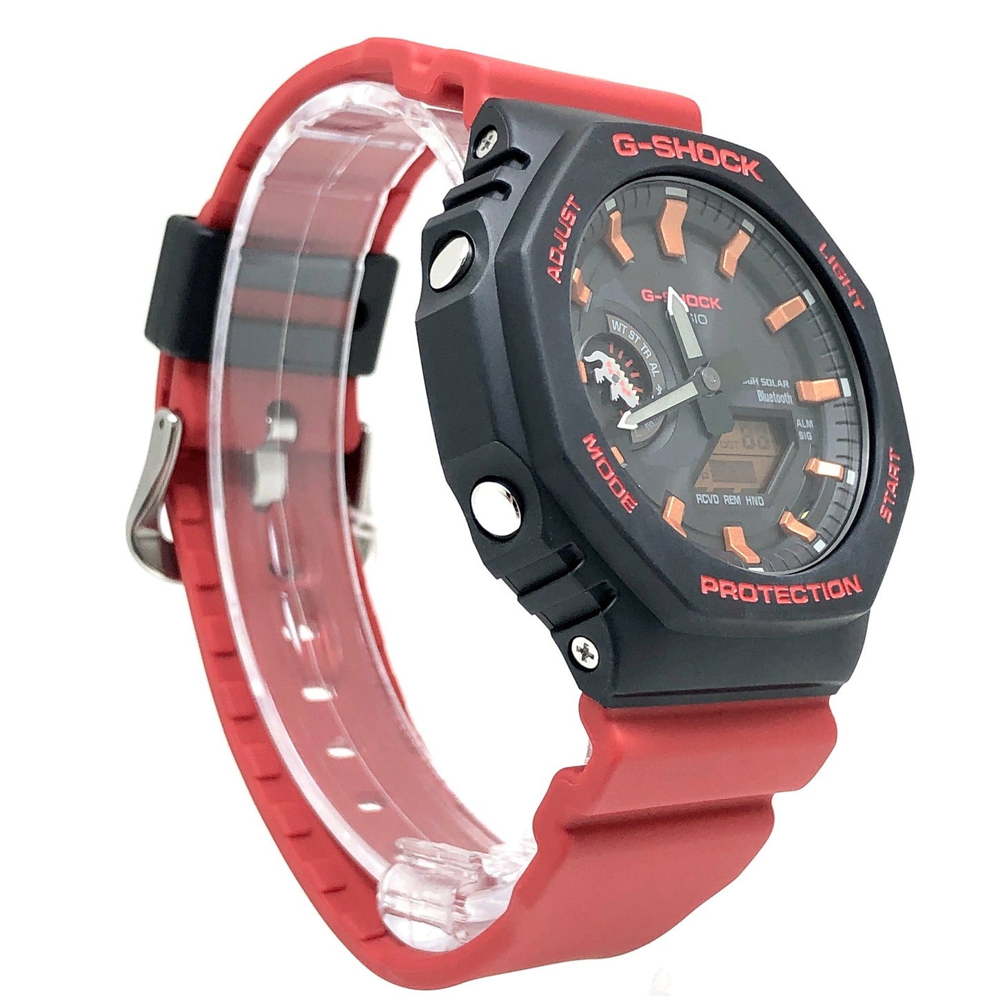 GA-B2100CD-1A4 チャールズ・ダーウィン ガラパゴスウミイグアナ