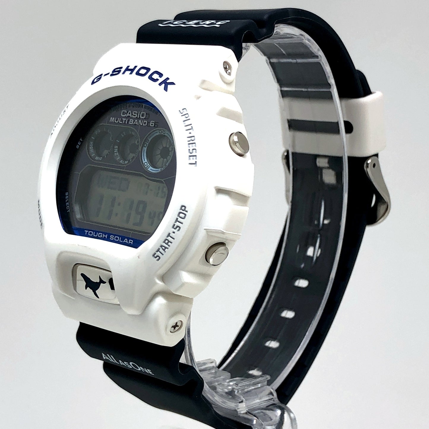 GW-6905K-7A イルクジ2025 ザトウクジラ