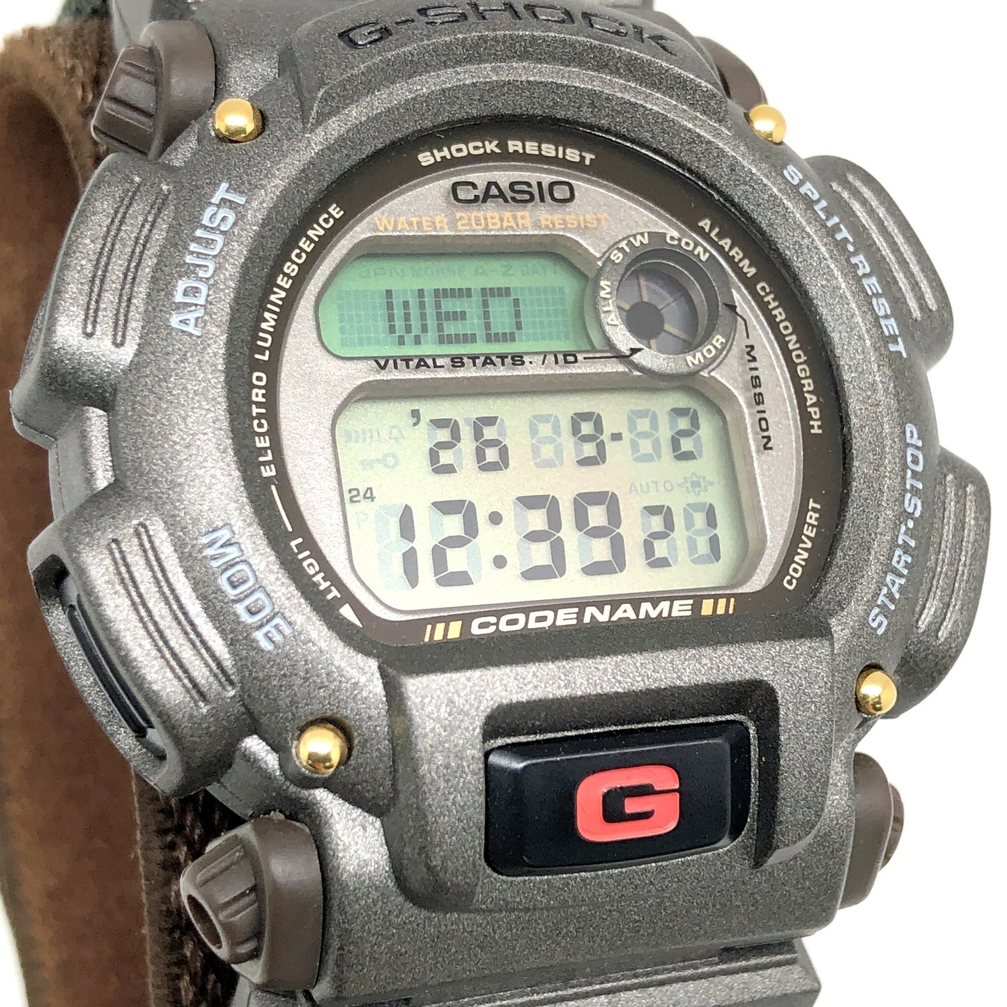 DW-8800MM-3T コードネーム マサイマラ ライオンEL