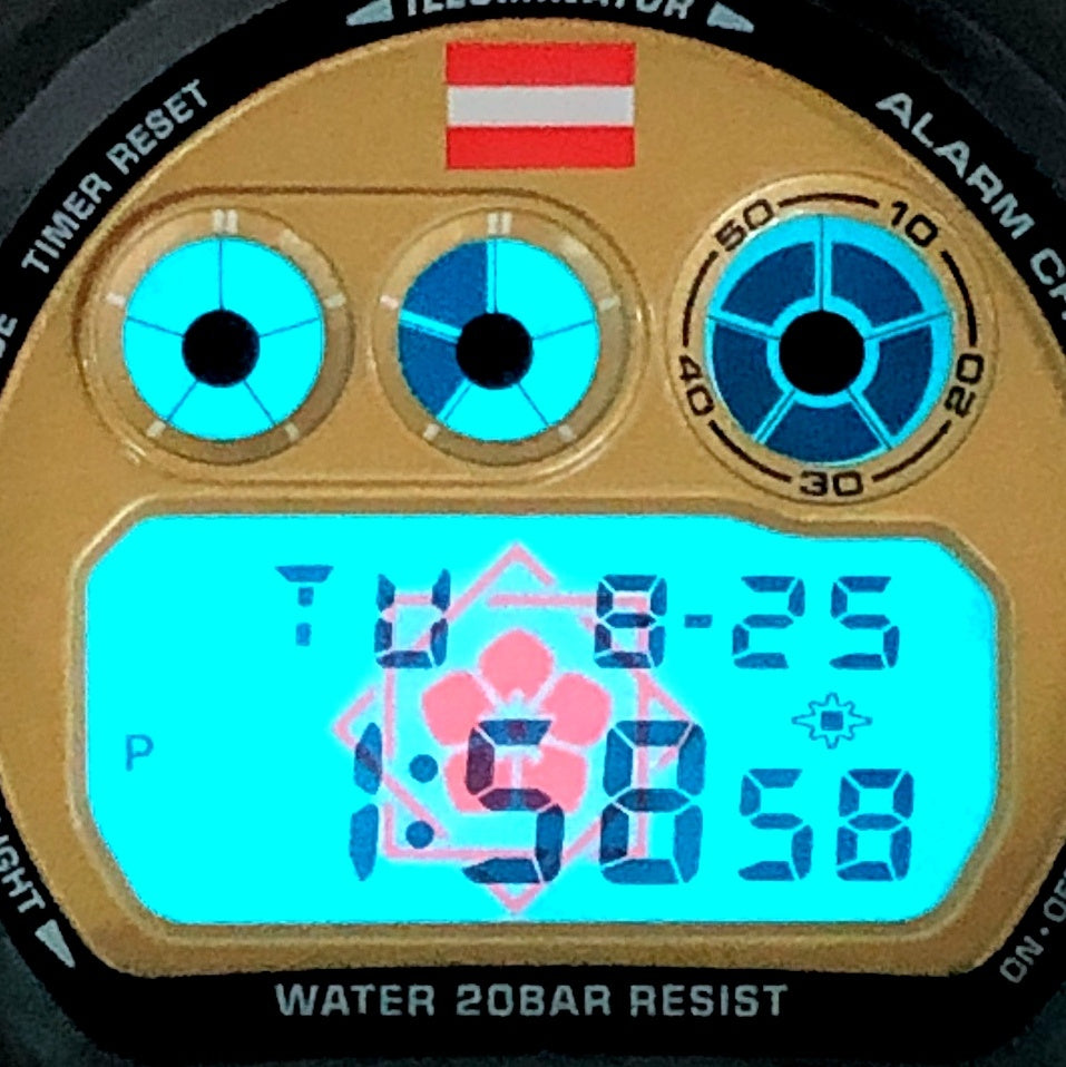 DW-6900BRYO-9 Gショック25周年記念 坂本龍馬 1500本限定 コラボレーションモデル