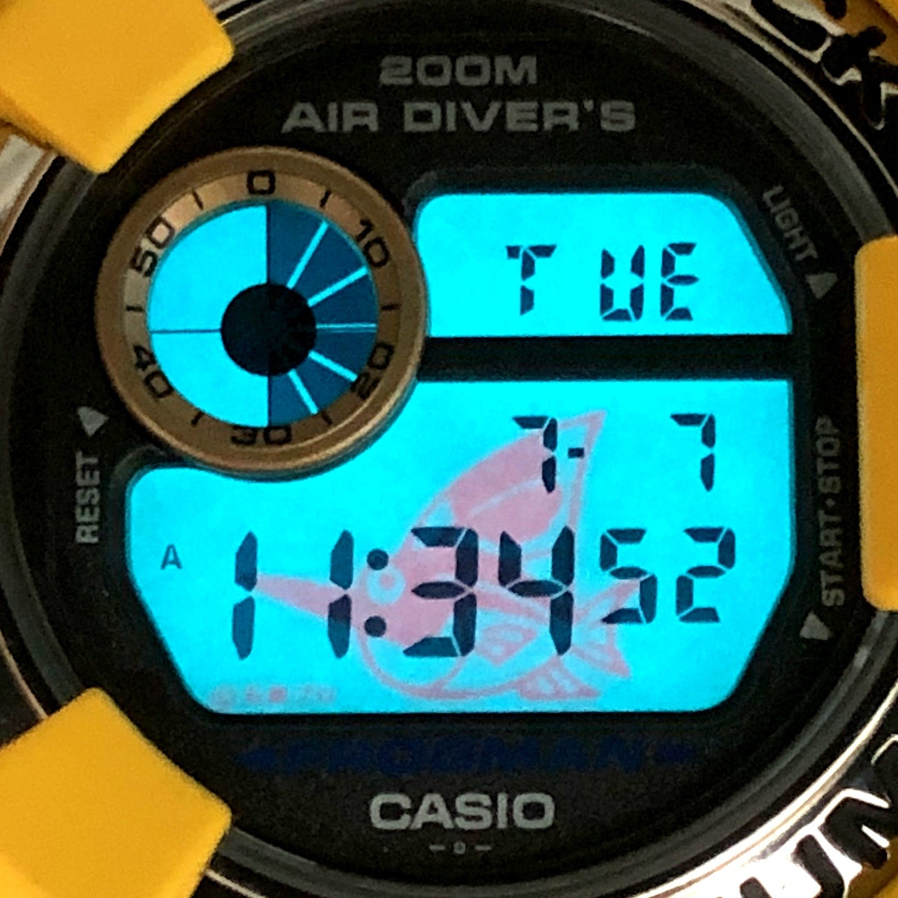DW-8200AC-9T アメリカズカップ2000 カジキマグロEL