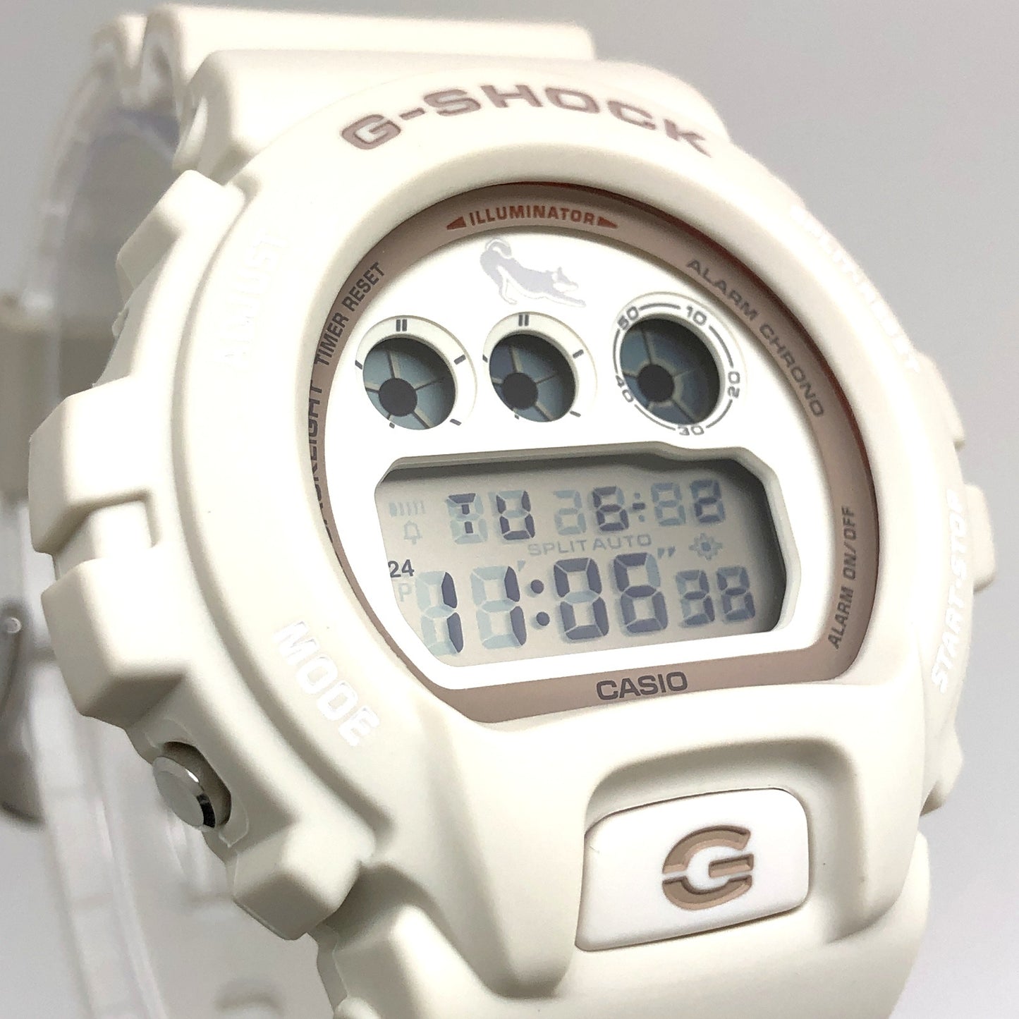 DW-6900SHB-7 SHIRO-SHIBA 白柴