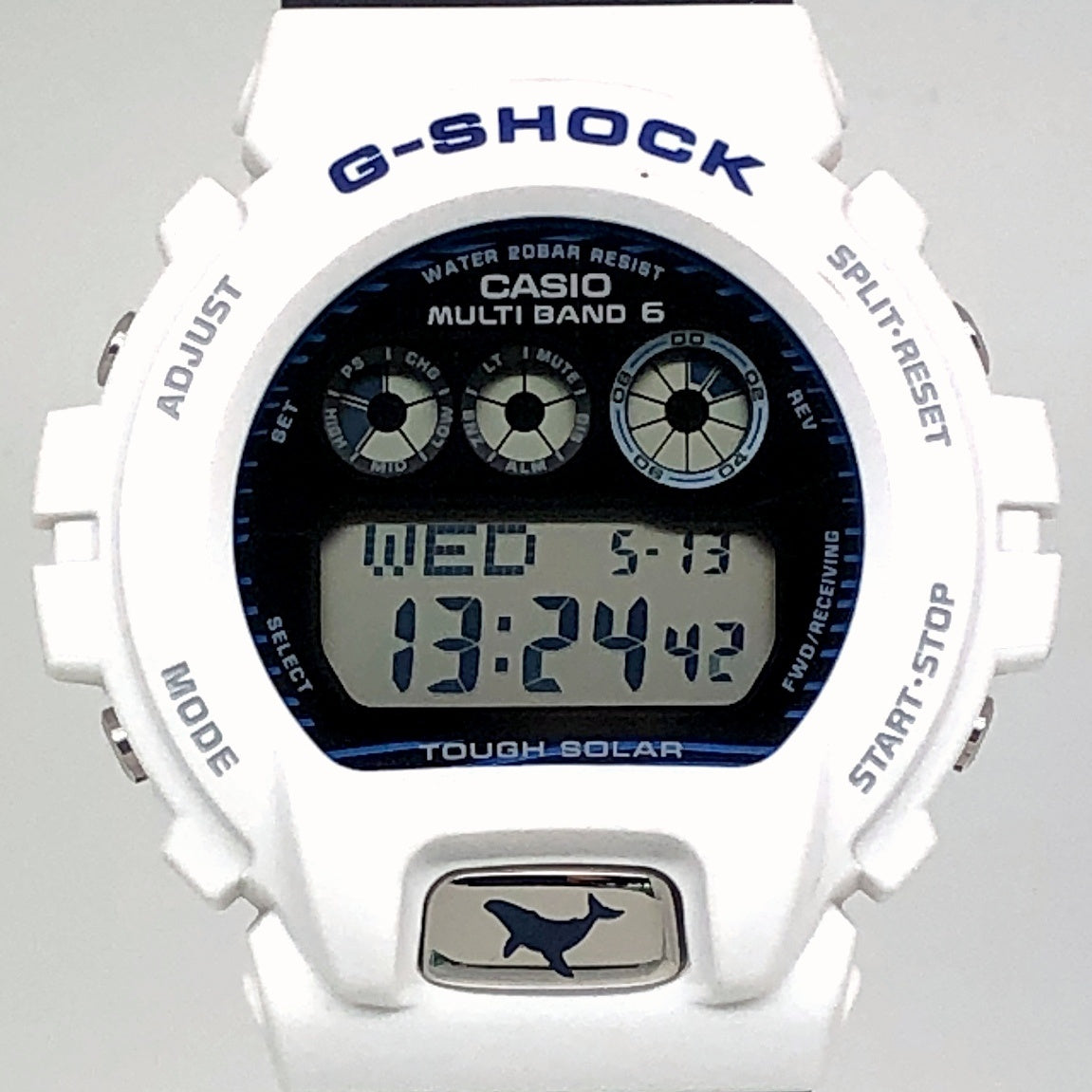 GW-6905K-7A イルクジ2025 ザトウクジラ