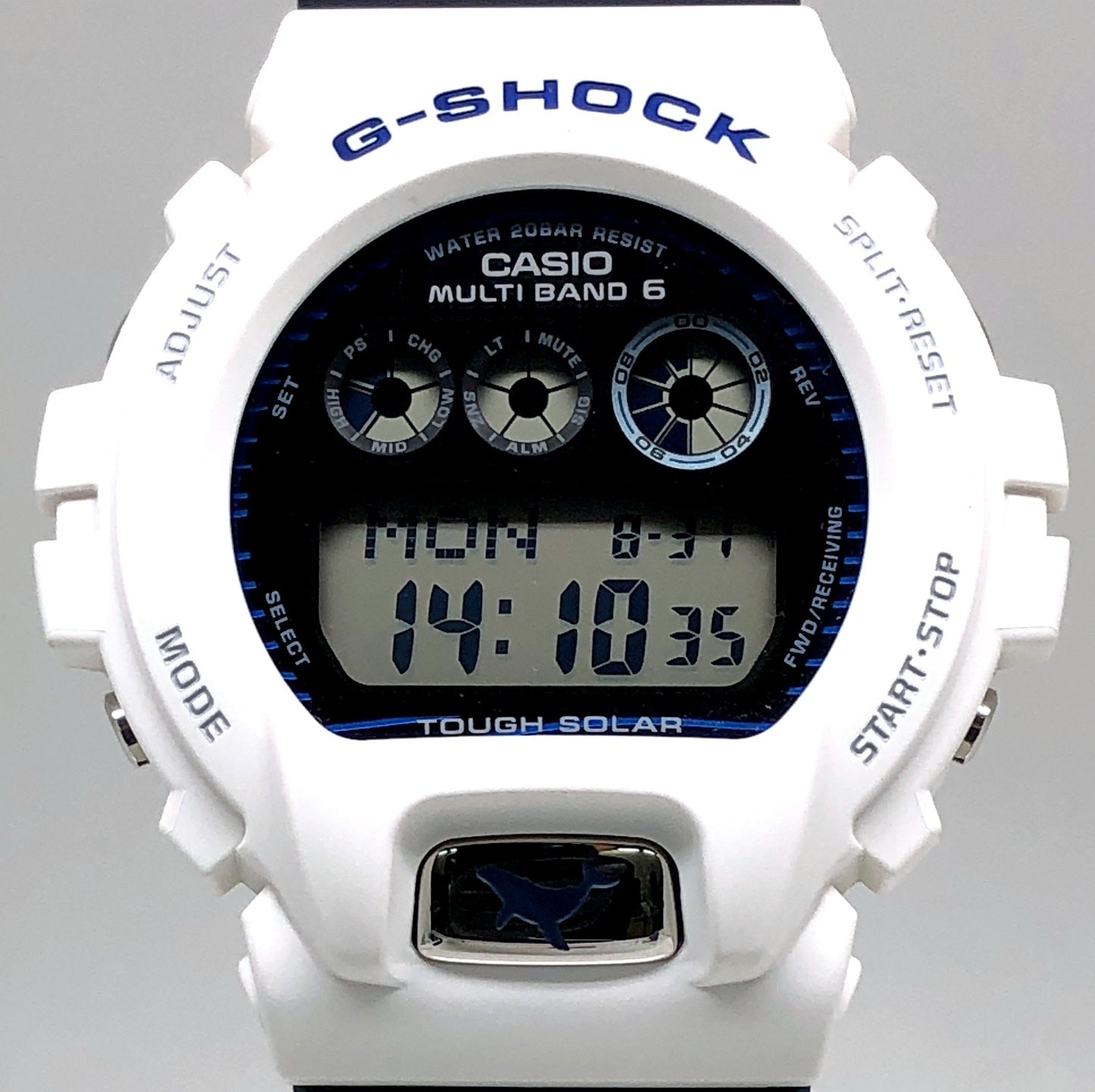 GW-6905K-7A イルクジ2025 ザトウクジラ