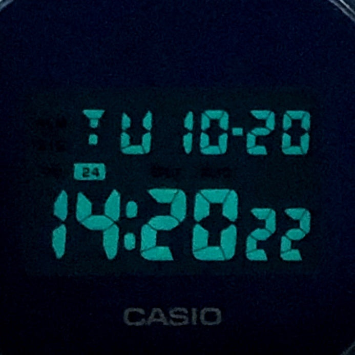 DW-5600SB-2 カラースケルトンシリーズ