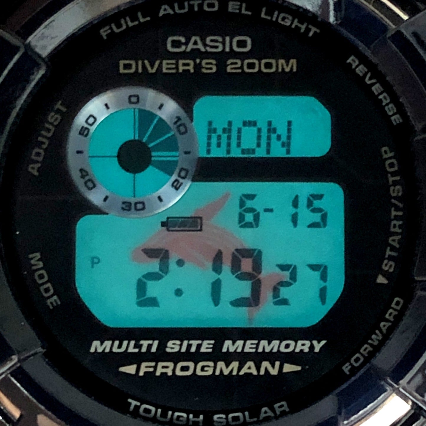 GW-202K-2 フロッグマン 御蔵島モデル イルクジ2002