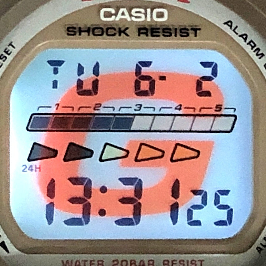 DW-6600PC-5 ヴィンテージプロダクトカラー