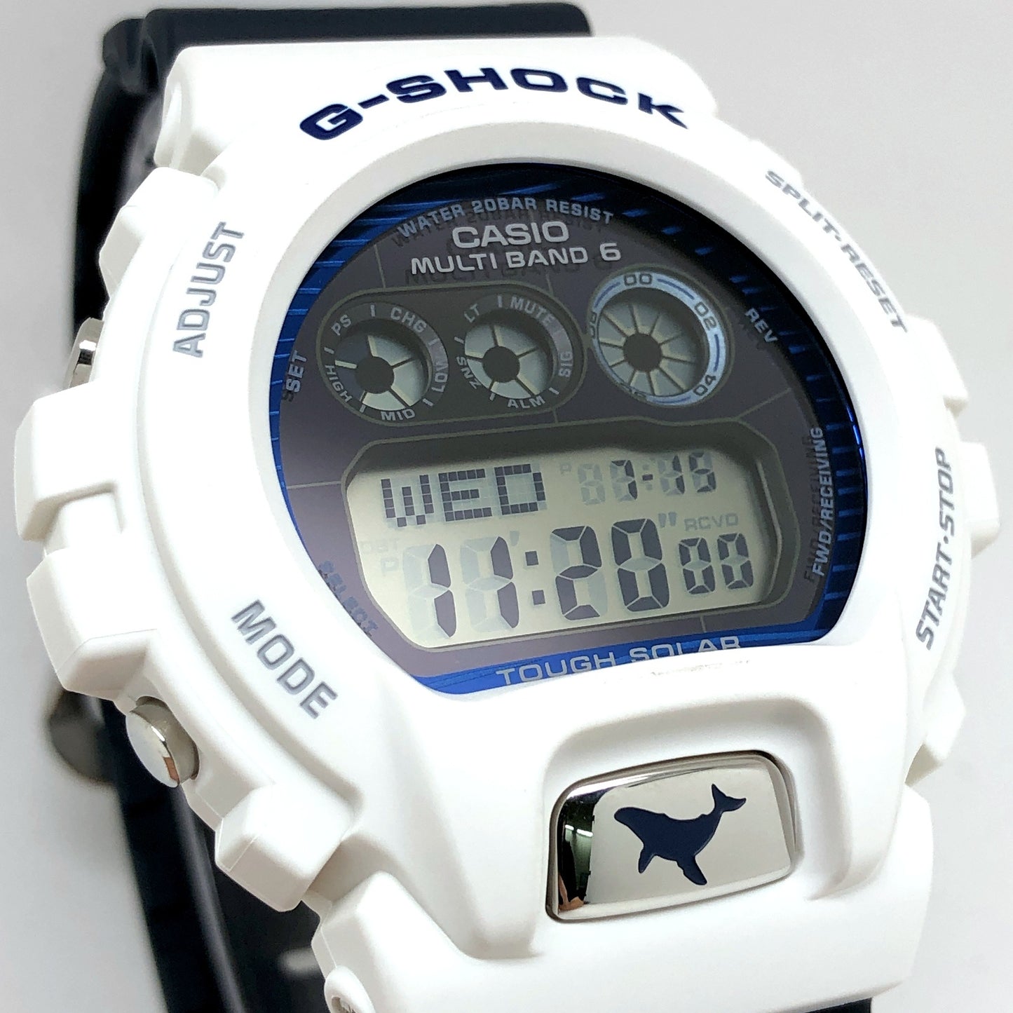 GW-6905K-7A イルクジ2025 ザトウクジラ