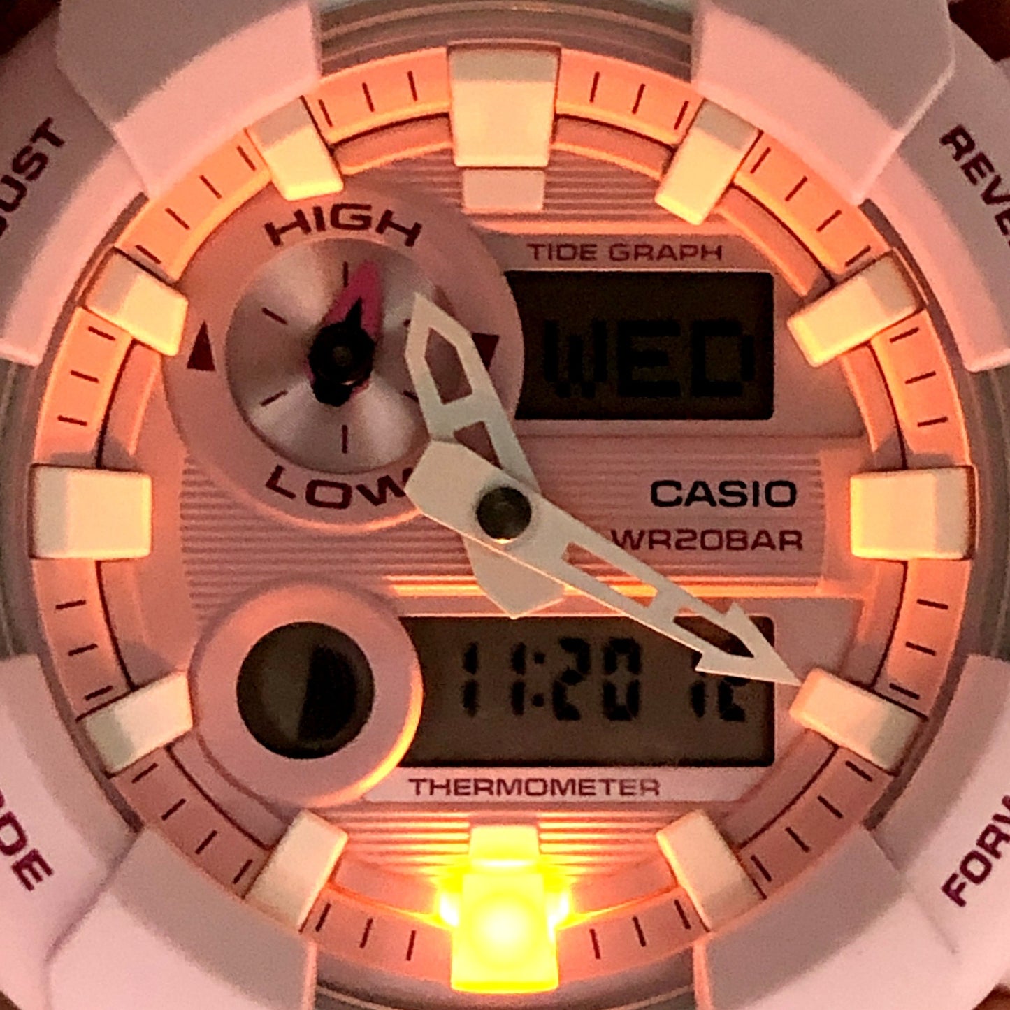 GAX-100CSA-4A G-LIDE ビッグケース ダスティパステル