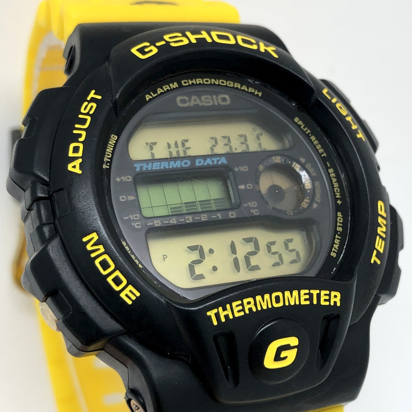 DW-6100DW-9 イルクジ1994 初代イルカクジラモデル