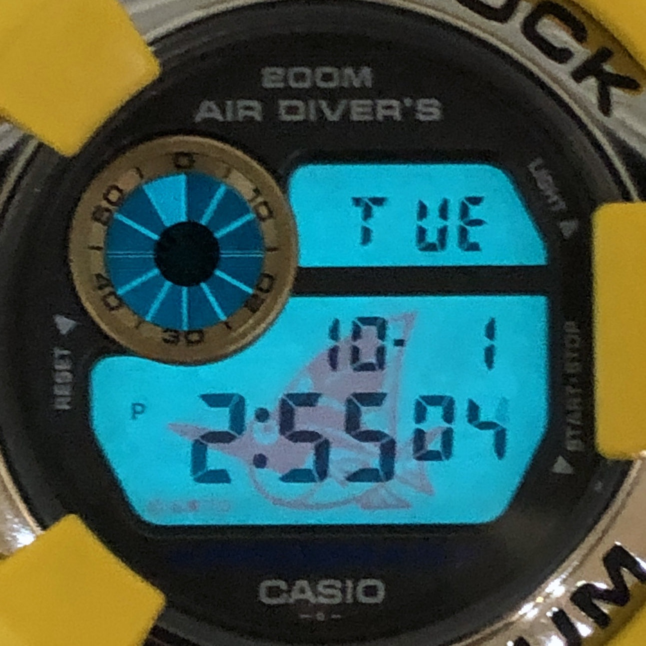 DW-8200AC-9T アメリカズカップ2000 フロッグマン カジキマグロEL