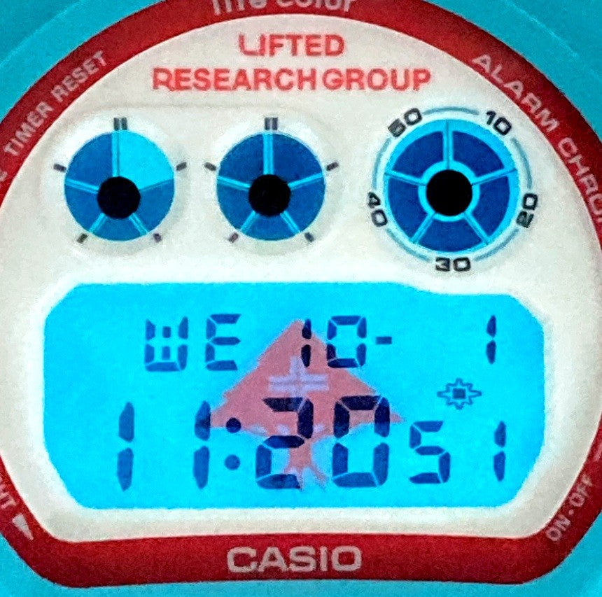 DW-6900LRG-2A エルアールジー ツリーロゴEL
