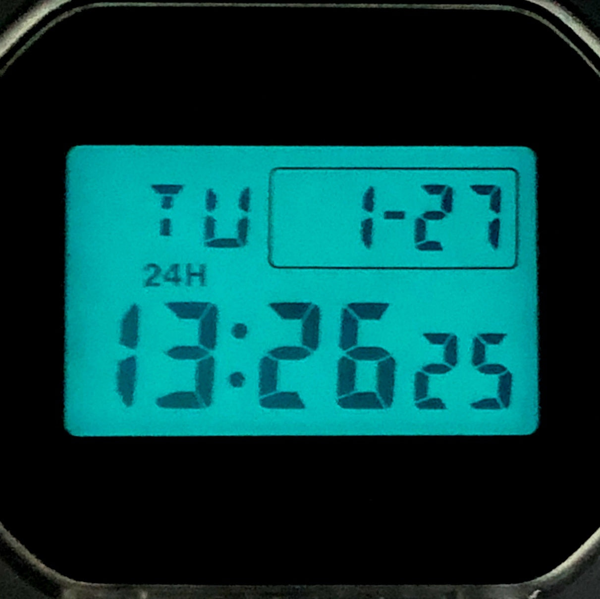 DW-5600SK-1 クリアスケルトン