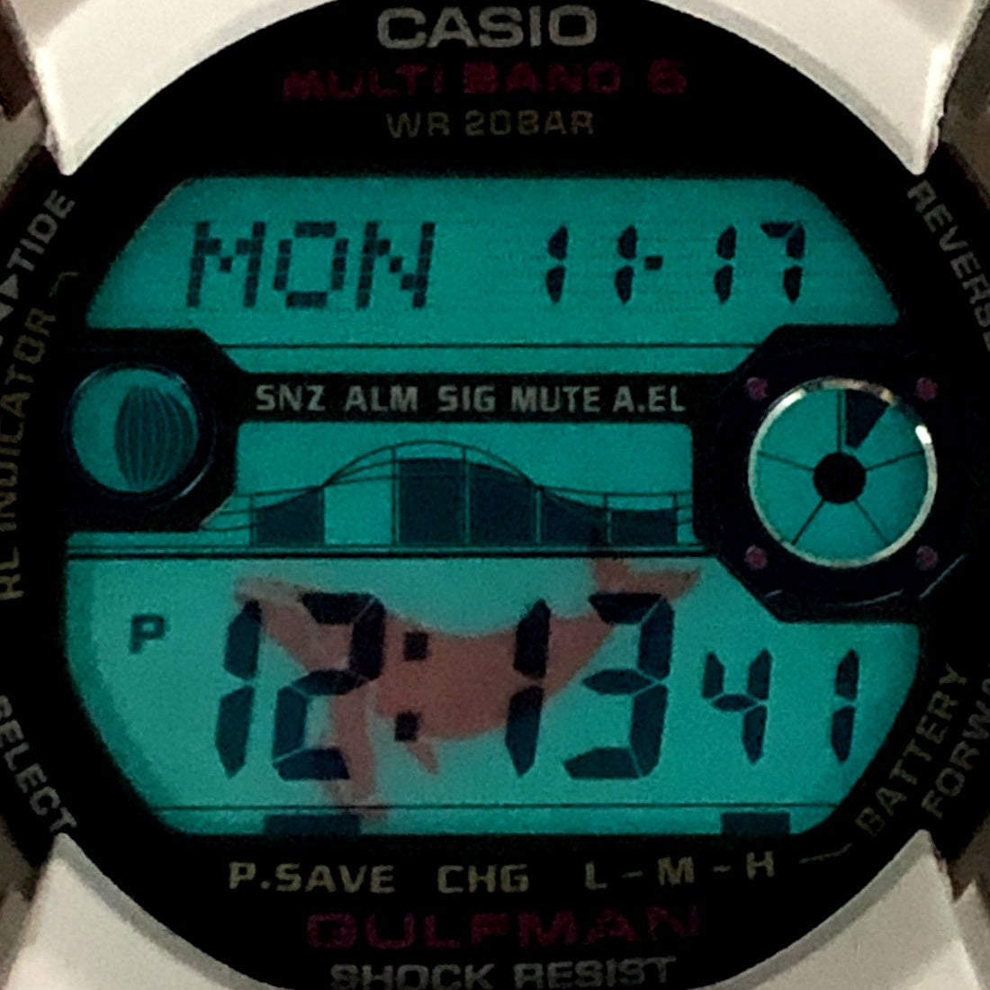 GW-9110K-7 ガルフマン イルクジ2010