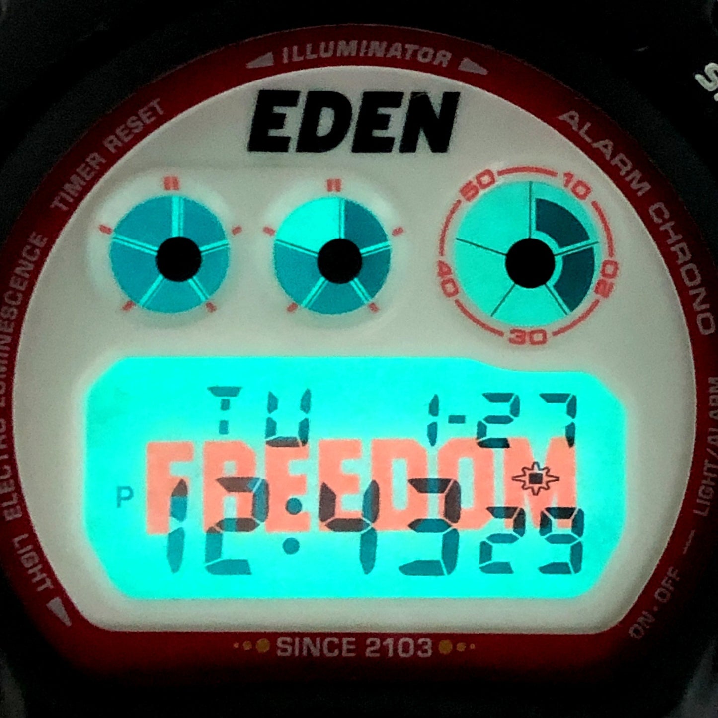 DW-6900 日清食品 フリーダムプロジェクト コラボレーションモデル