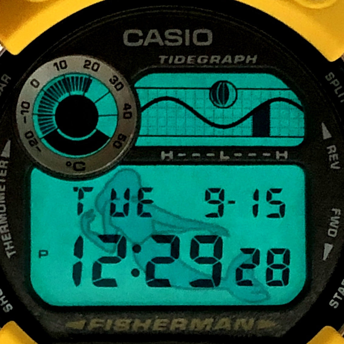 DW-8600YJ-9T フィッシャーマン メンインイエロー