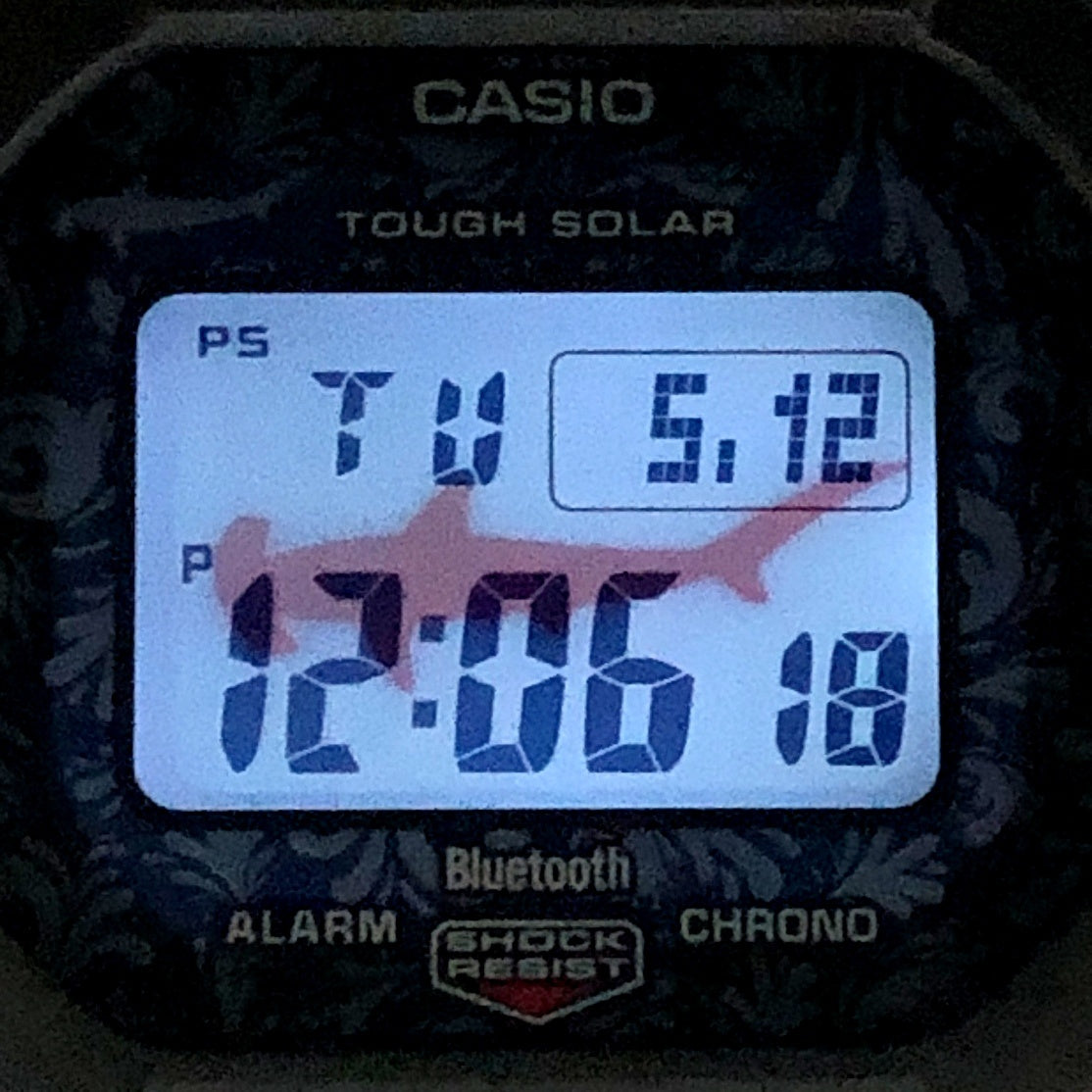 GW-B5600CD-1A2 チャールズ・ダーウィン ダーウィンフィンチ