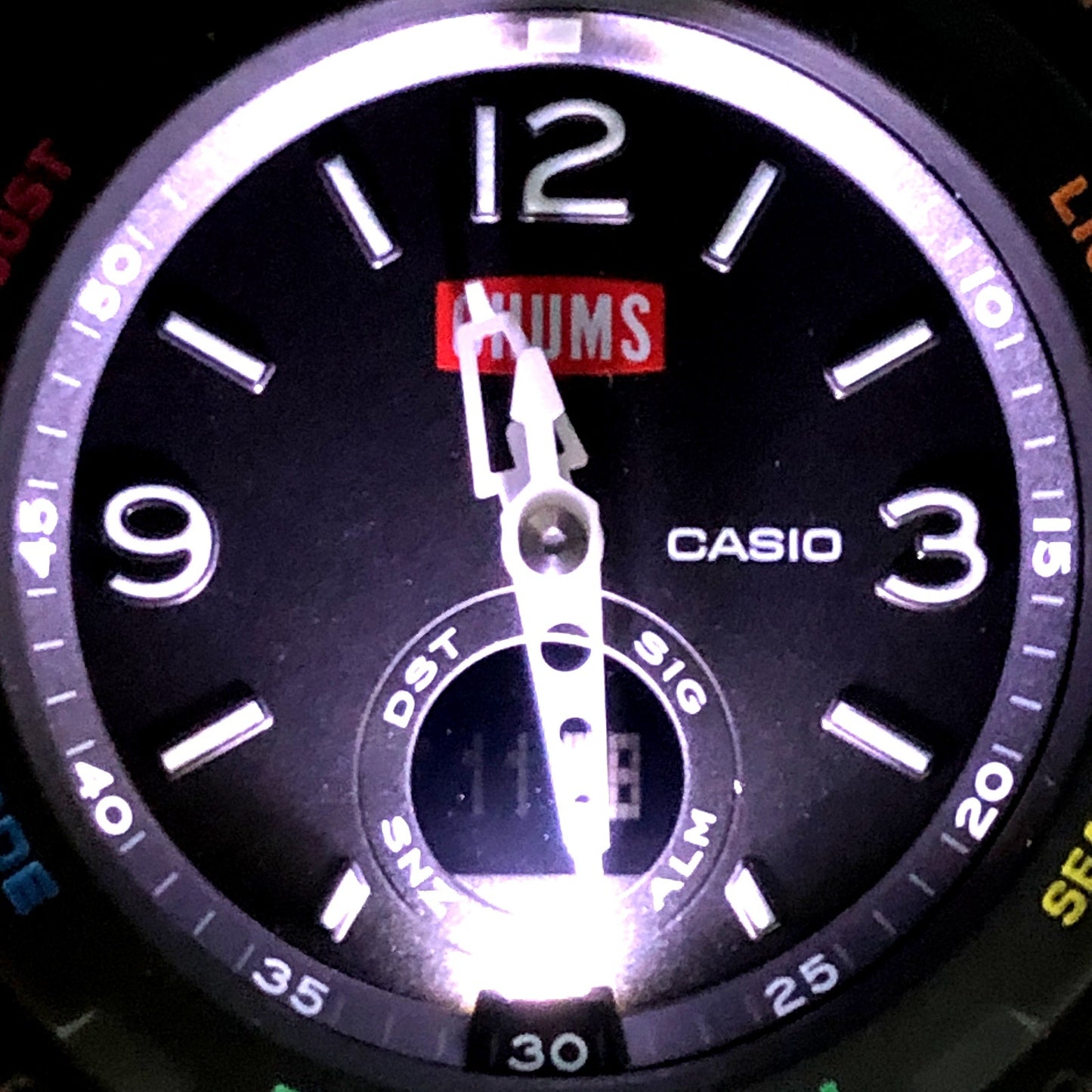 BGA-260CH-1A BABY-G チャムス コラボレーションモデル