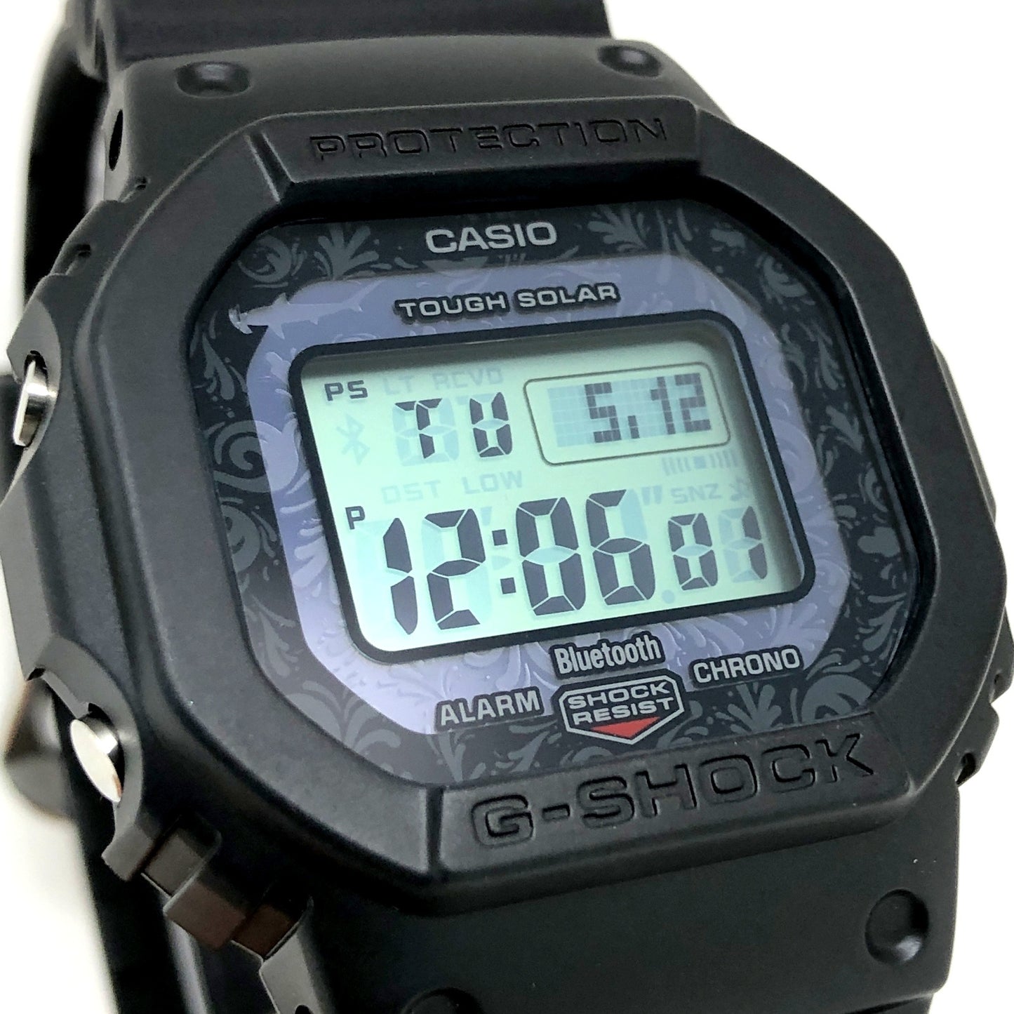 GW-B5600CD-1A2 チャールズ・ダーウィン ダーウィンフィンチ