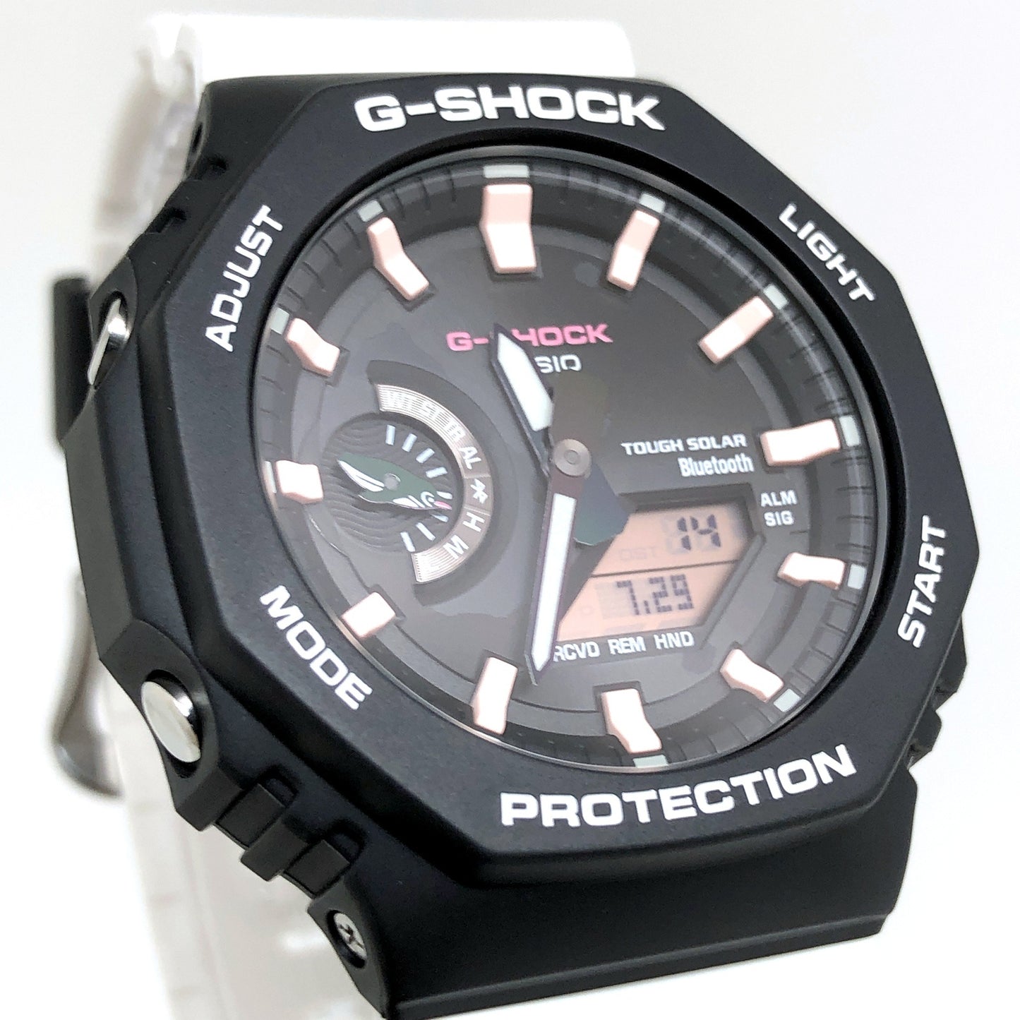 GA-B2100CD-1A7 チャールズ・ダーウィン ガラパゴスペンギン
