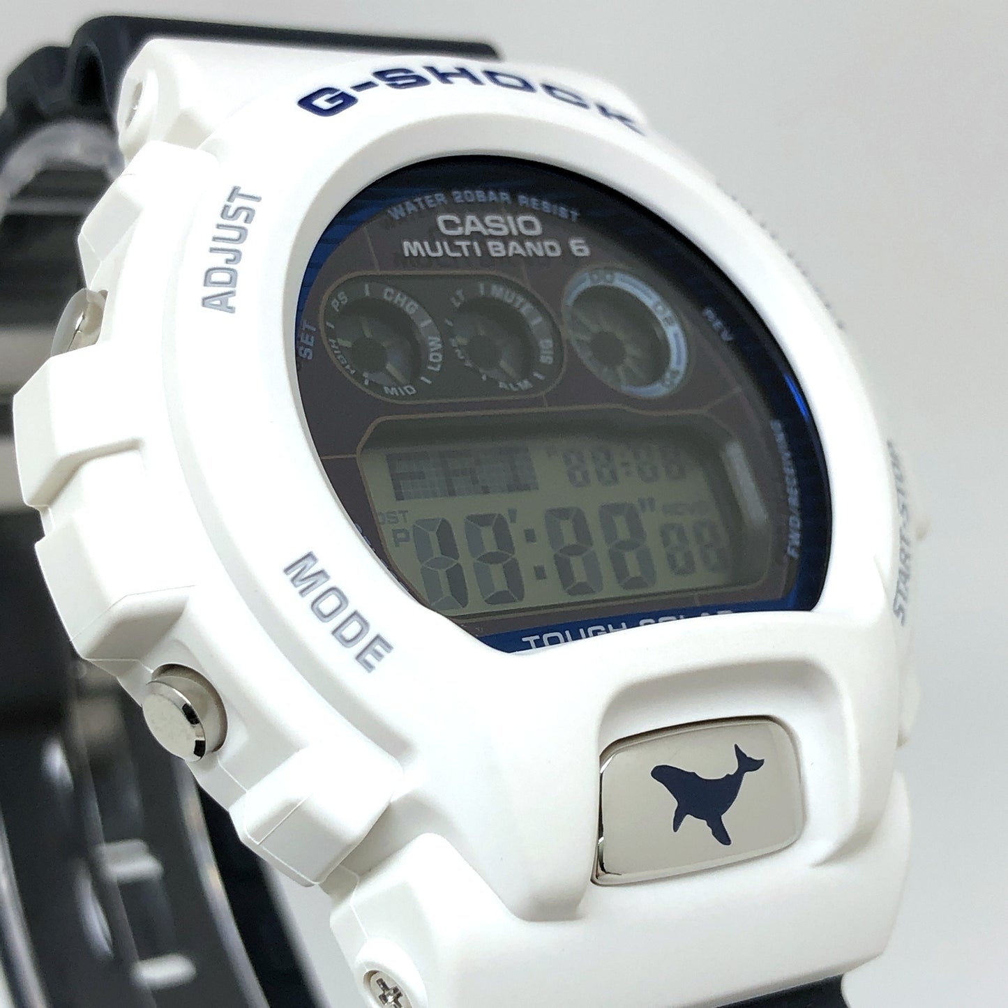 GW-6905K-7A イルクジ2025 ザトウクジラ