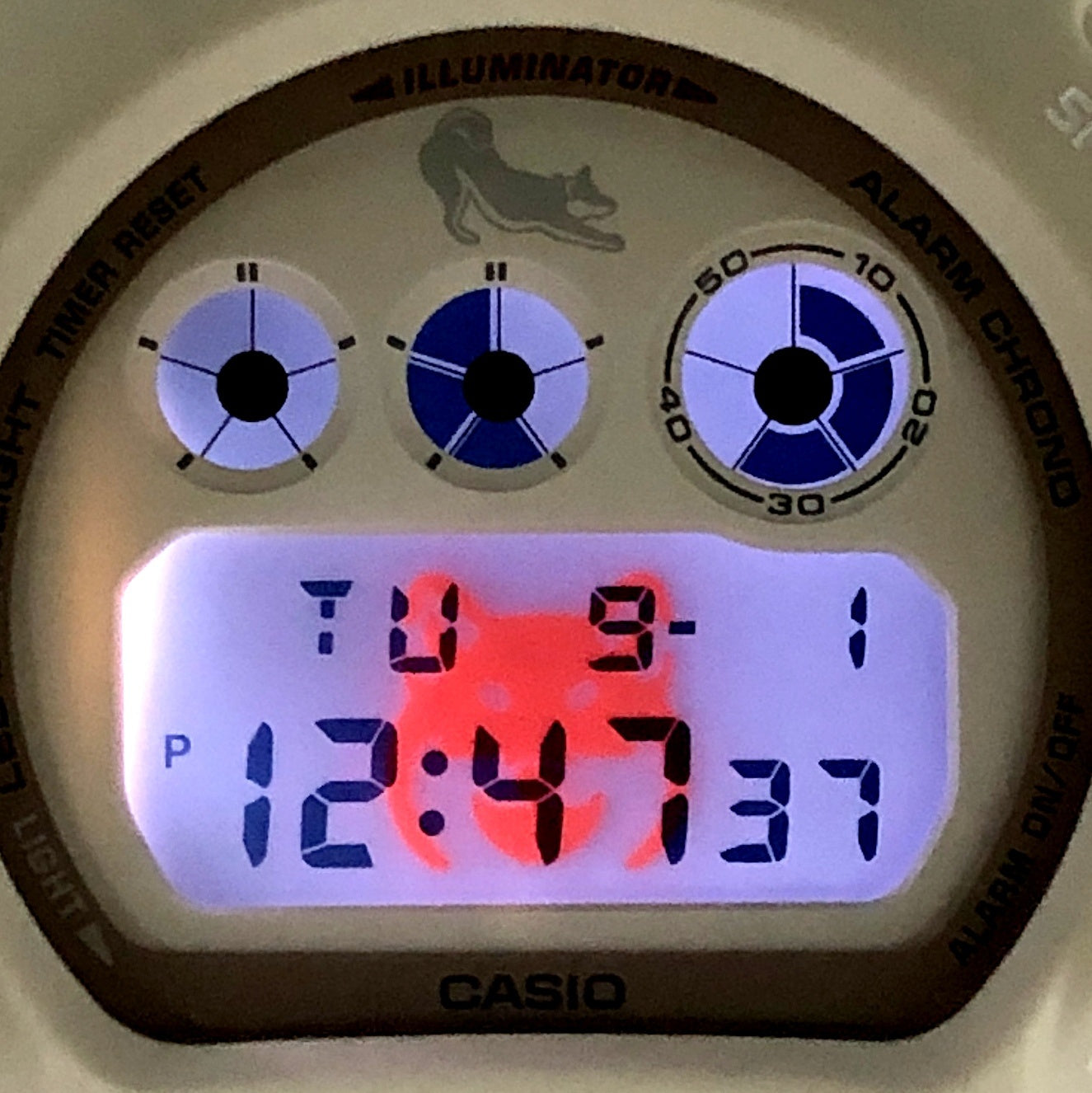 DW-6900SHB-7 SHIRO-SHIBA 白柴