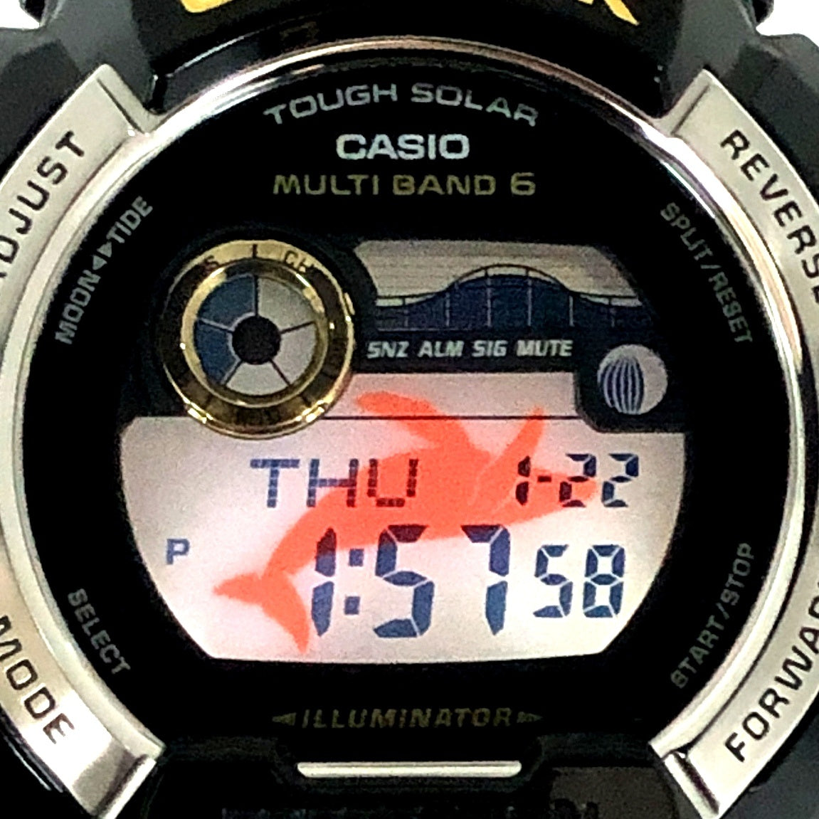 GWX-8901K-1 イルクジ2013 初代カラーモデル