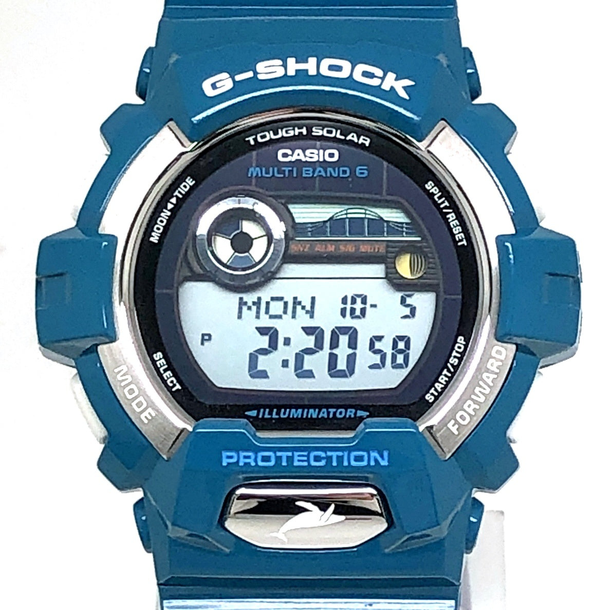GWX-8900K-3 イルクジ2012 ターコイズブルー