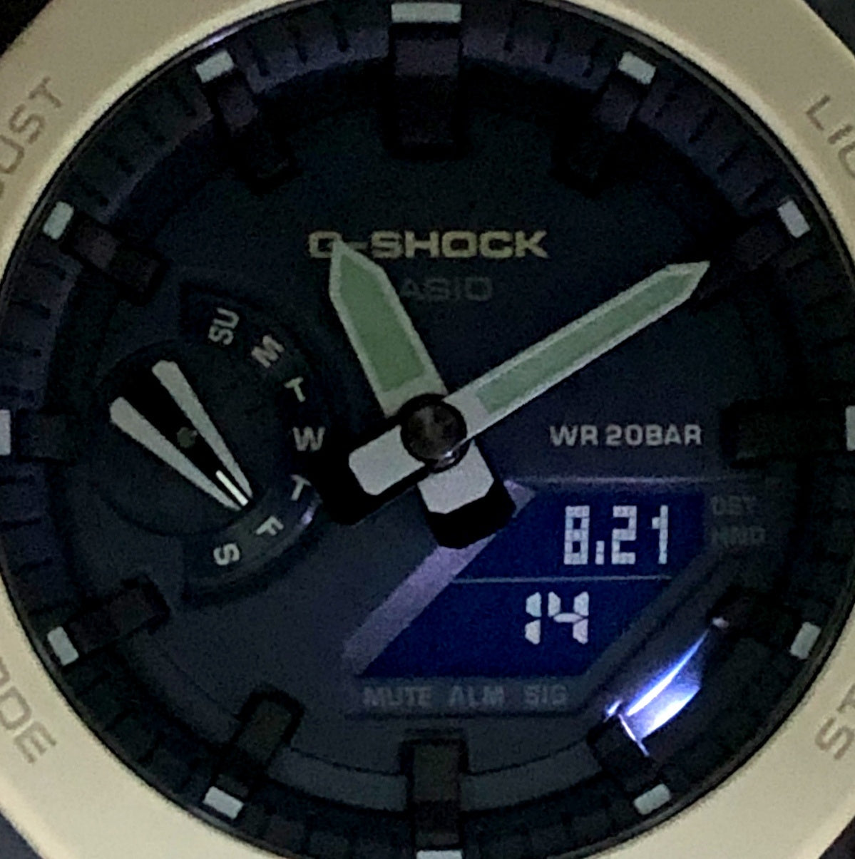 GA-2110ET-2A アースカラートーンシリーズ