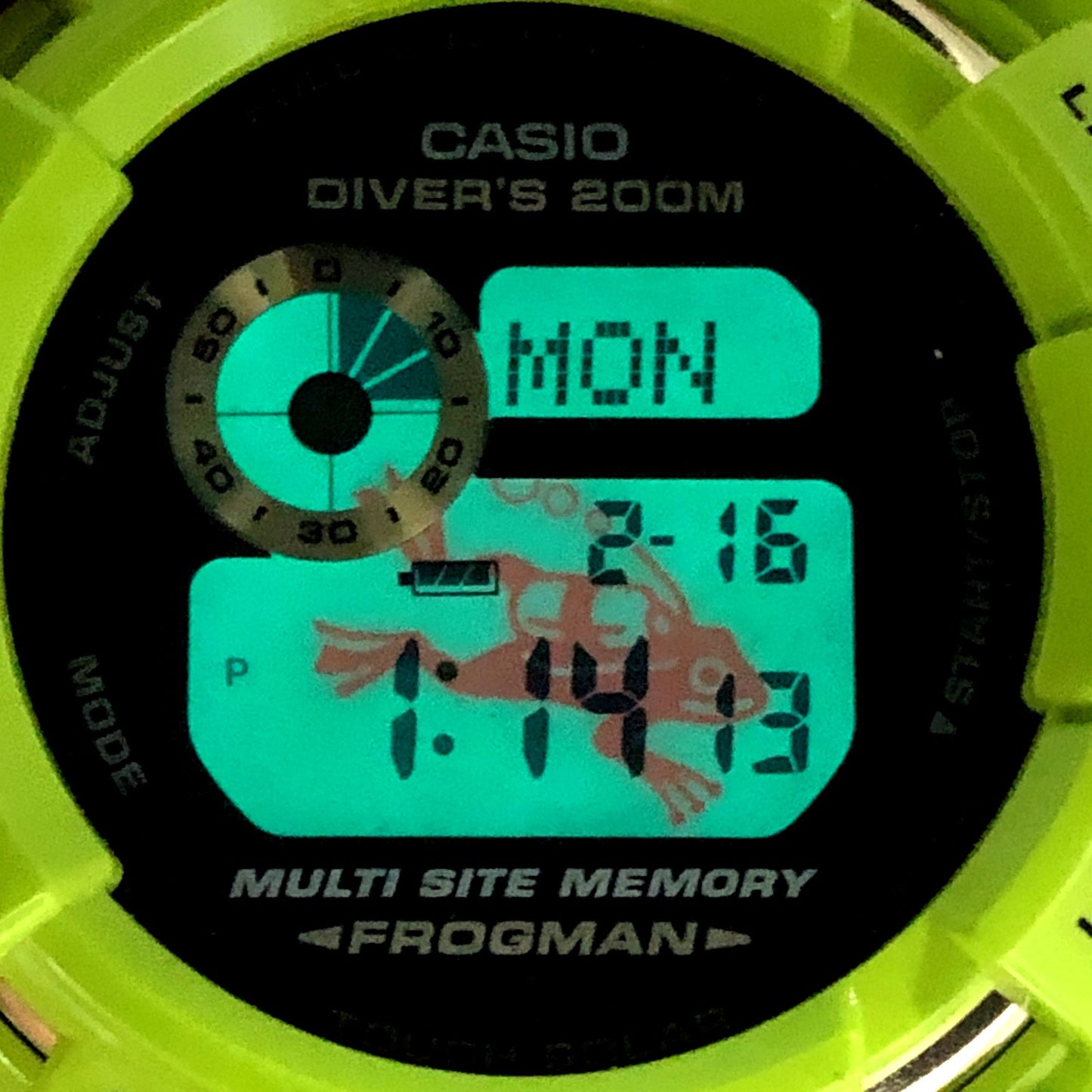 GW-200F-3 フロッグマン イルクジ2009 アマガエル