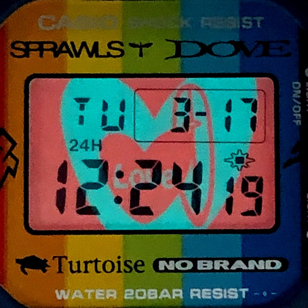 DW-5600SF-2 We Love Surfing コラボレーションモデル