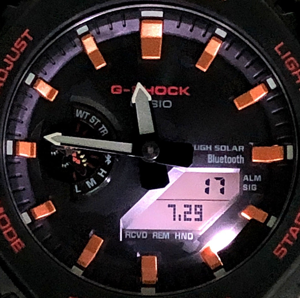 GA-B2100CD-1A4 チャールズ・ダーウィン ガラパゴスウミイグアナ